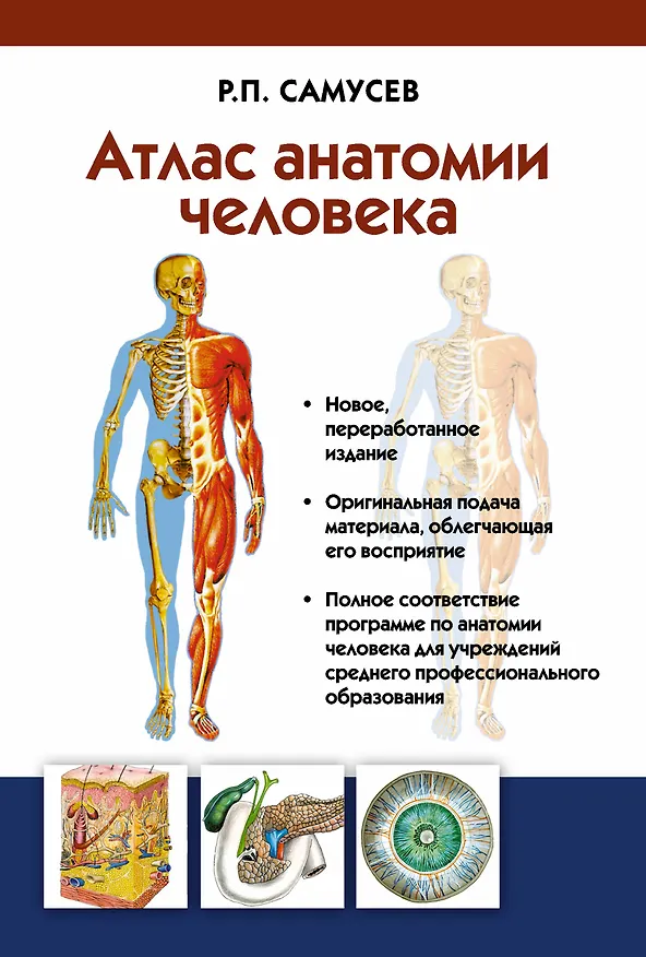 Книга Атлас анатомии человека: учебное пособие для студентов учреждений среднего профессионального образования. 7 -е изд. (Рудольф Самусев) — 1