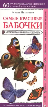 Бабочки. Наглядный карманный определитель — 2651330 — 1