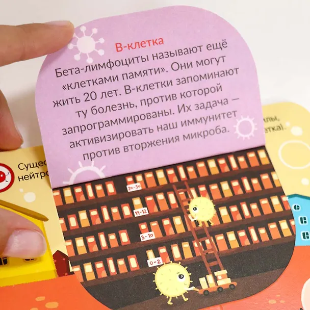 Книга Вирусы и бактерии. Что мы знаем о них? Книжка с окошками () — 7