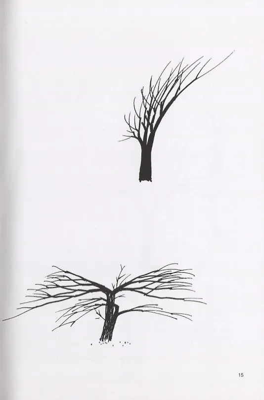 Книга Рисуем дерево (Бруно Мунари) — 6