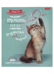 Тетрадь в клетку Hatber, "ДоброЛапки", 48 листов, в ассортименте