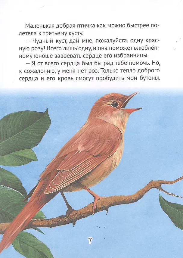 Книга БИБЛИОТЕКА ДЕТСКОГО САДА. СКАЗКИ ОСКАРА УАЙЛДА (Оскар Уайльд) — 6