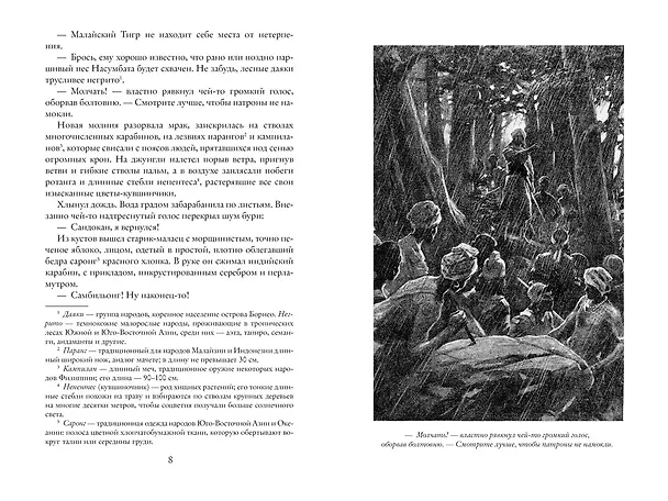 Книга Возмездие Сандокана. Возвращение Момпрачема (Эмилио Сальгари) — 14