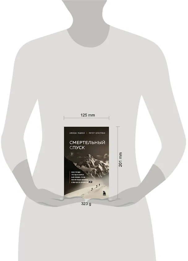 Книга Смертельный спуск. Трагедия на одной из самых сложных вершин мира — К2 (Аманда Падоан, Питер Цукерман) — 9
