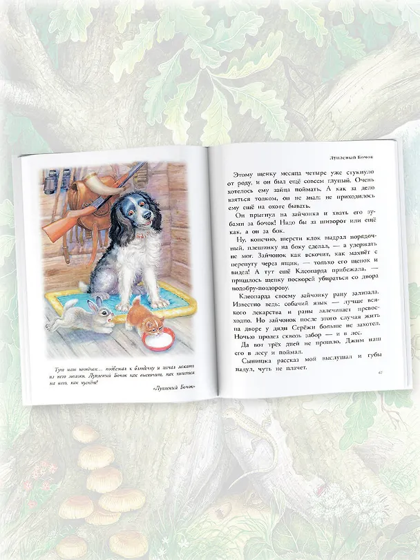 Книга Мышонок Пик. Рассказы о животных (Виталий Бианки) — 7