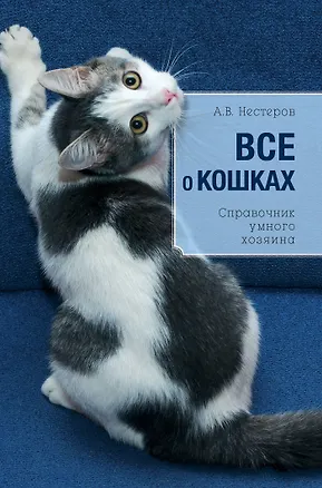 Книга Все о кошках (Светлана Дудникова)