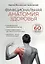 Функциональная анатомия здоровья — 2907393 — 1
