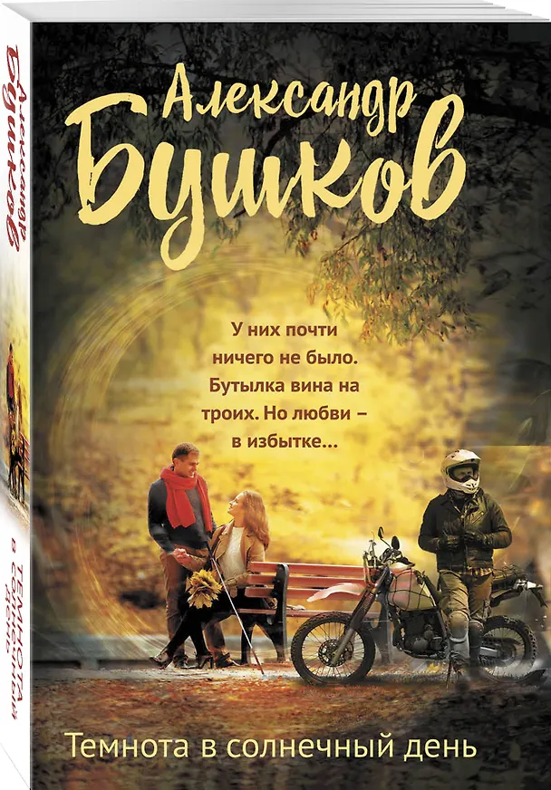 Книга Темнота в солнечный день (Александр Бушков) — 4
