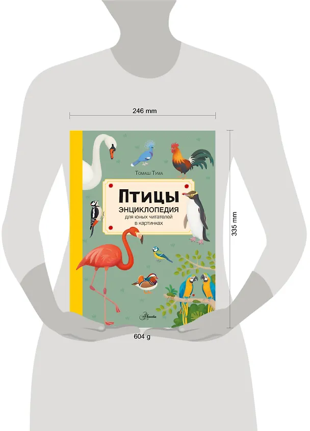 Книга Птицы (Томаш Тума) — 13