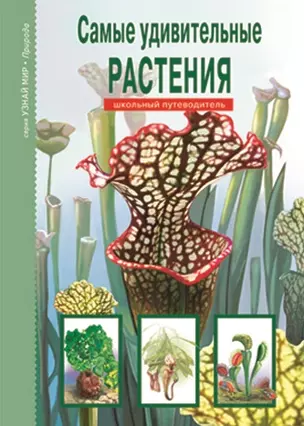 Самые удивительные растения: Школьный путеводитель — 2143399 — 1