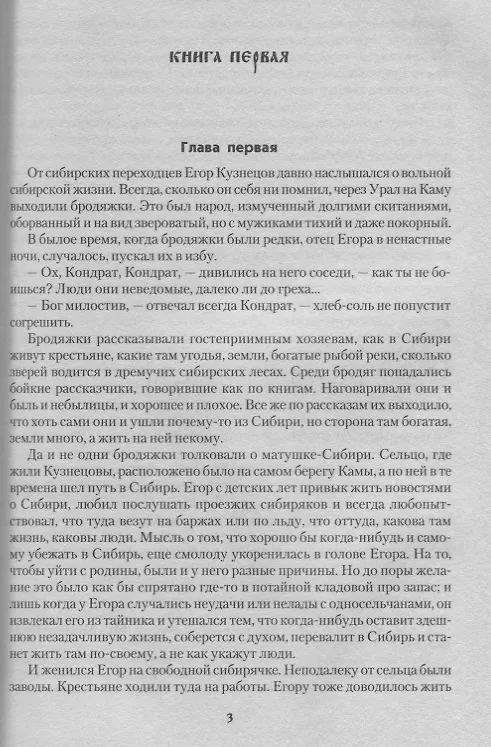 Книга Амур-батюшка: Роман (Николай Задорнов) — 4