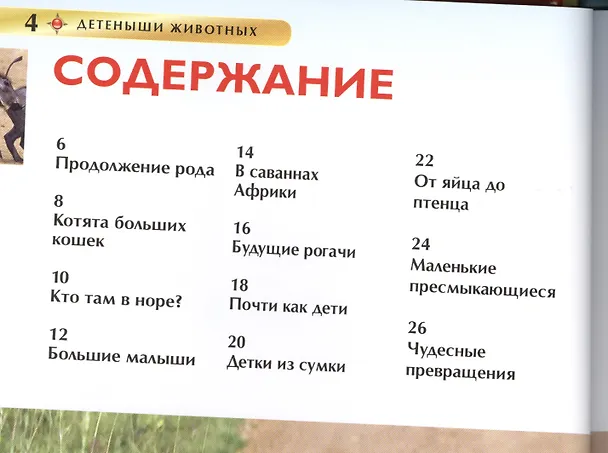 Книга Детеныши животных. Детская энциклопедия. Пер. с англ. () — 2