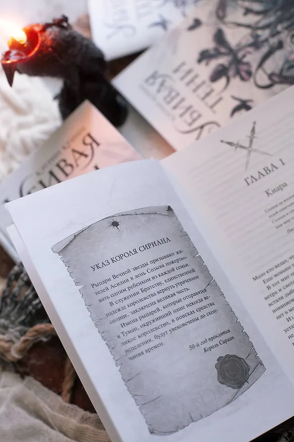 Книга Убивая тени (Кэтрин Куинн) — 12