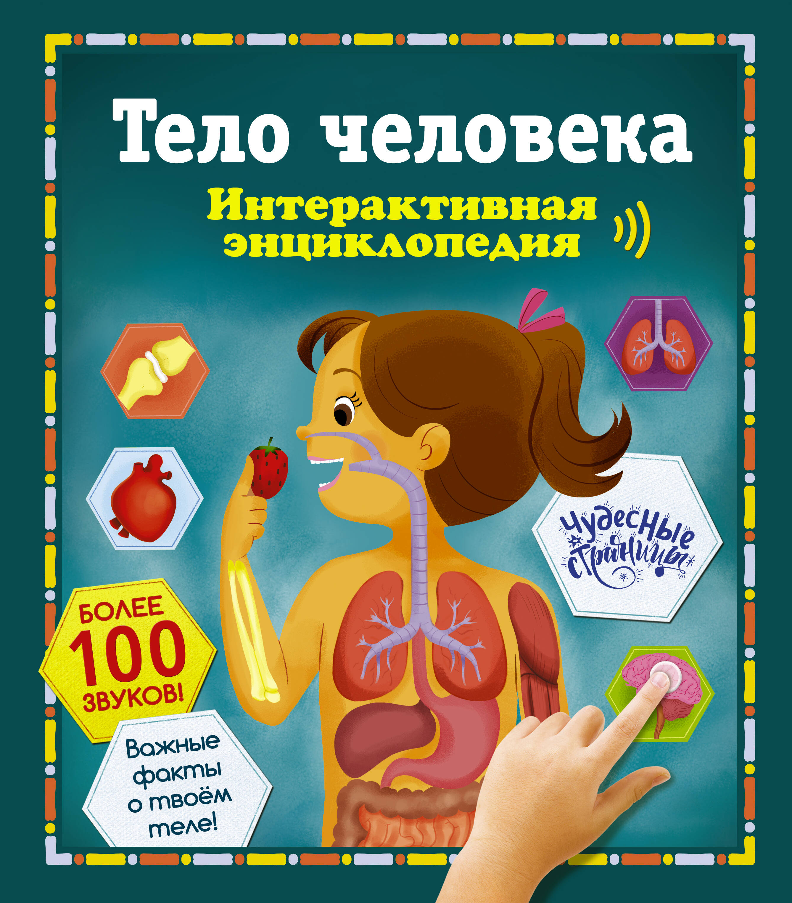 Обложка: Тело человека. Интерактивная энциклопедия