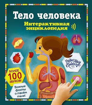 Книга Тело человека. Интерактивная энциклопедия ()