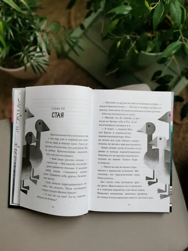 Книга Миссия дикого робота (Питер Браун) — 9