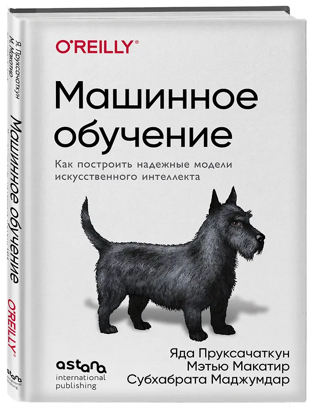 Книга Машинное обучение. Как построить надежные модели искусственного интеллекта (Яда Пруксачаткун, Мэтью Макатир, Субхабрата Маджумдар) — 4
