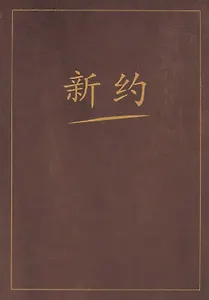 Новый завет на китайском языке