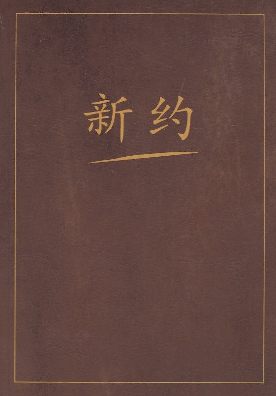 Книга Новый завет на китайском языке () — 1