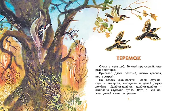 Книга Теремок (Рисунки Т. Васильевой) (Виталий Бианки) — 3