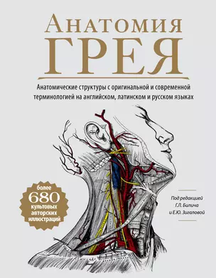 Анатомия Грея. Анатомические структуры с оригинальной и современной терминологией на английском, латинском и русском языках — 2871164 — 1