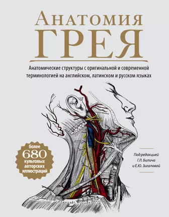 Груза свинцовые анатомические с покрытием порошковой краской для плавания в гидрокостюмах.