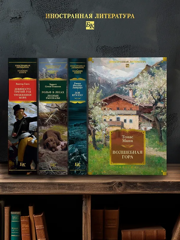 Книга Волшебная гора (Томас Манн) — 9