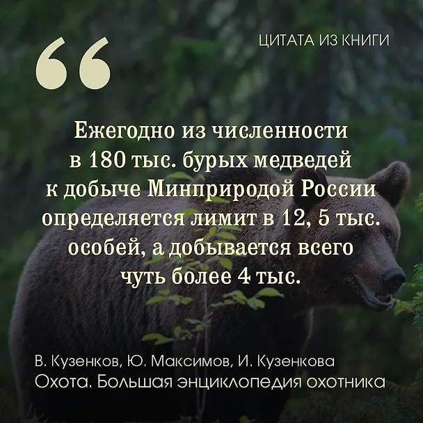 Книга Охота. Большая энциклопедия. 17 диких зверей (Юрий Максимов, Ираида Кузенкова, Валерий Кузенков) — 7