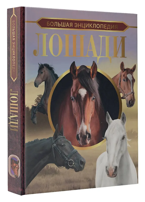 Книга Большая энциклопедия. Лошади (Анна Спектор) — 4