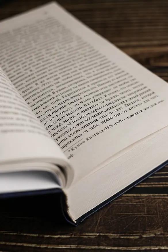 Книга Игры современников. Записки пинчраннера (Кэндзабуро Оэ) — 15