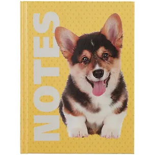 Записная книжка А6 64л кл. "Friend" 7БЦ, глянц.ламинация, офсет 60г/м2 2923795