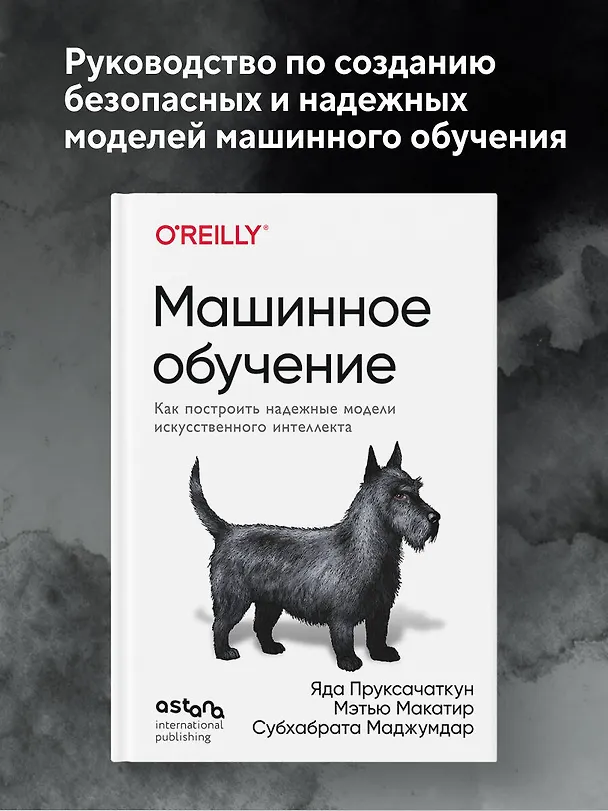 Книга Машинное обучение. Как построить надежные модели искусственного интеллекта (Яда Пруксачаткун, Мэтью Макатир, Субхабрата Маджумдар) — 5