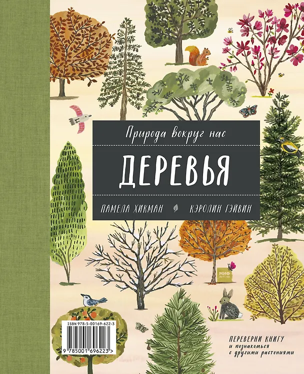 Книга Природа вокруг нас: Растения. Деревья (Памела Хикман) — 2