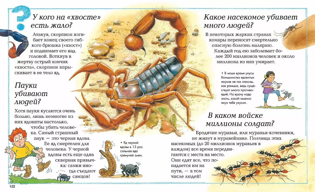 Где, что и когда? Энциклопедия для любознательных (Аманда О`Нейлл) - купить  книгу с доставкой в интернет-магазине «Читай-город». ISBN: 978-5-18-001132-9