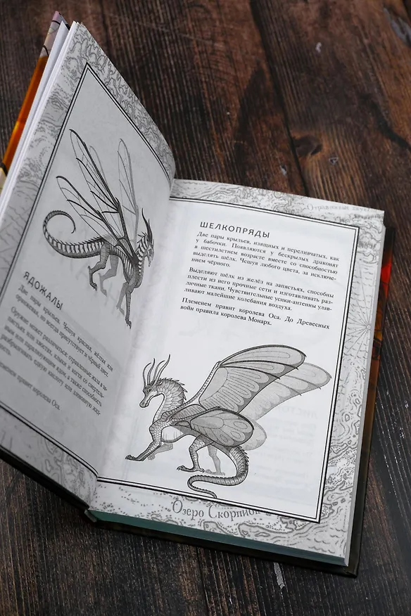 Книга Драконья сага. Королева ульев (Туи Т. Сазерленд) — 12