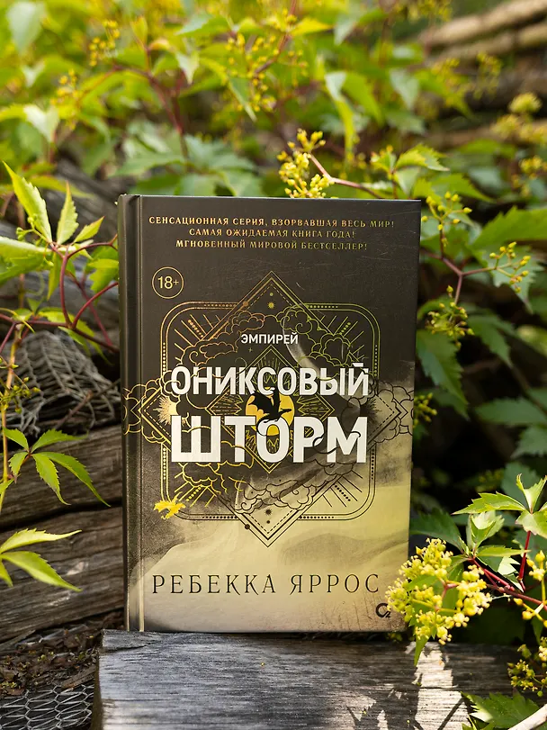 Книга Ониксовый шторм (черный обрез) (Ребекка Яррос) — 12