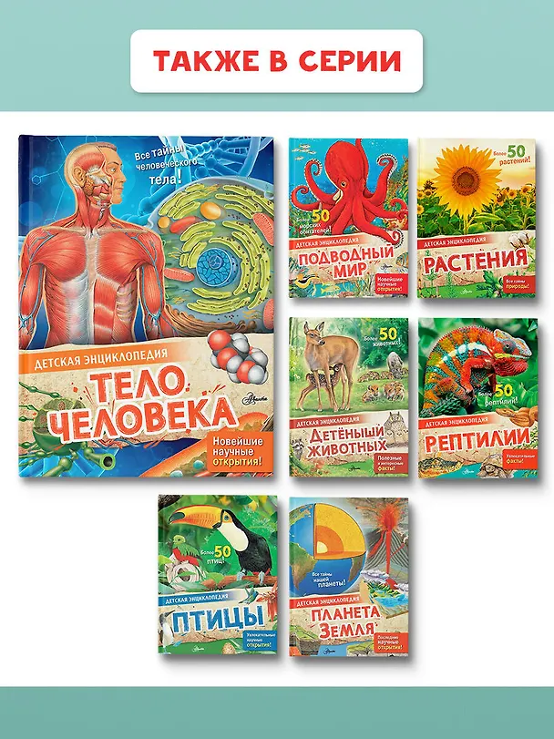 Книга Тело человека (Энн МакРей) — 11