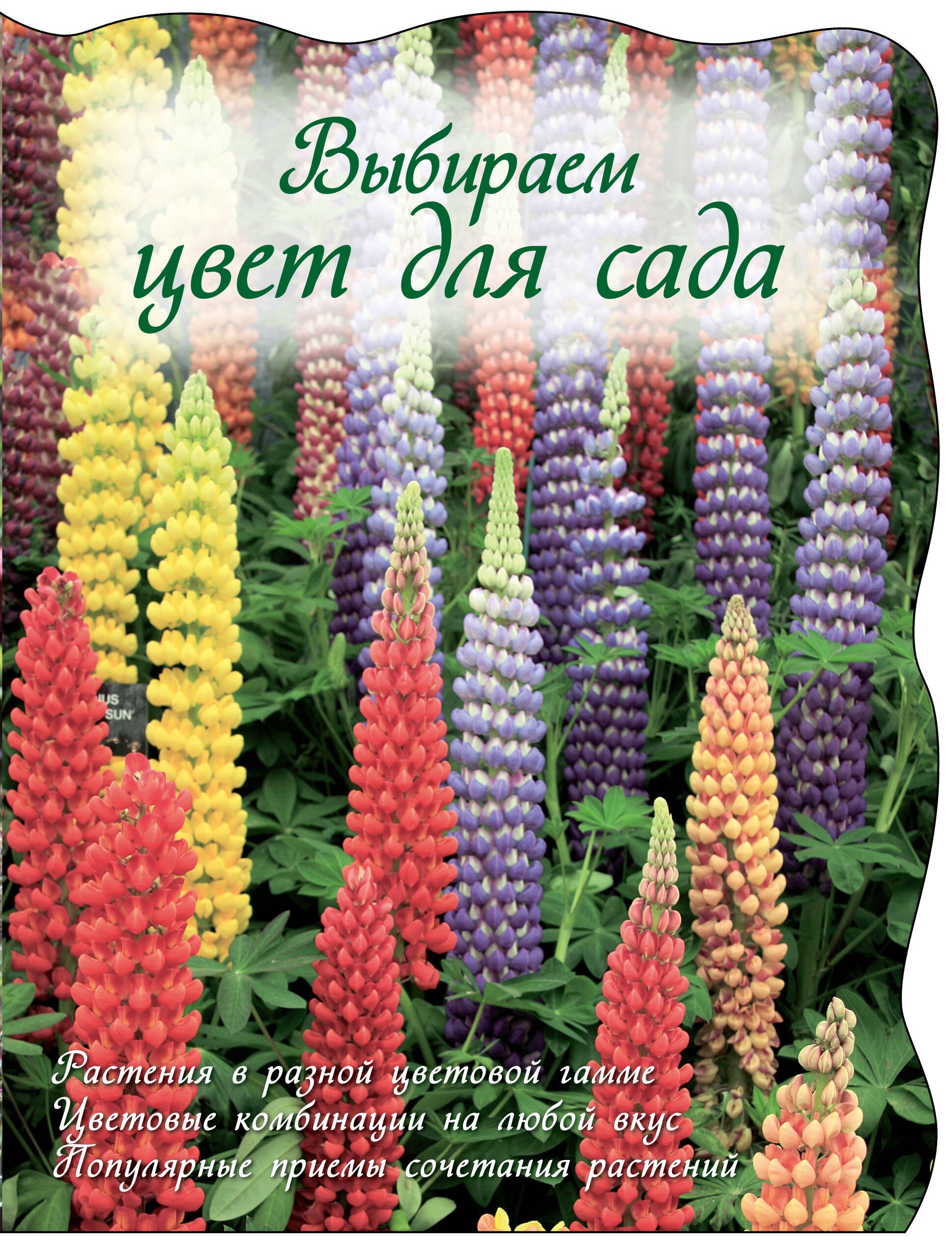 

Выбираем цвет для сада