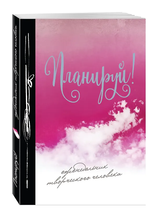 Планируй! Еженедельник творческого человека (оформление 2) 2564441 — 2