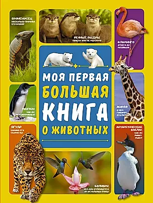 Моя первая большая книга о животных — 2735287 — 1