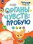 Органы чувств: пробую — 3042688 — 1