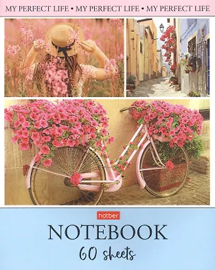 Тетрадь в клетку Hatber, "Моя прекрасная жизнь", 60 листов, в ассортименте 2900121