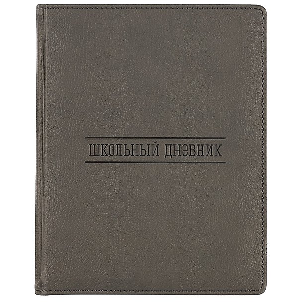 Дневник школьный GoodMark, Grey 244953 — 1