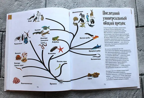 Книга История жизни на Земле. От бактерии до человека (Фелиция Ло) — 9