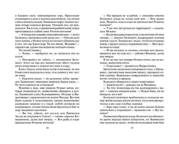 Книга Четвертый оруженосец (Эрин Хантер) — 12