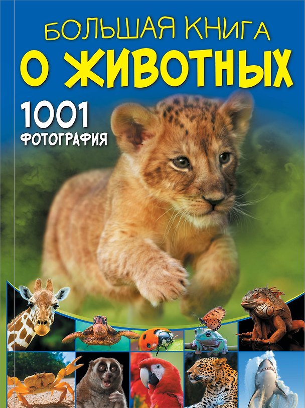 Книга Большая книга о животных. 1001 фотография (Дарья Ермакович) — 1