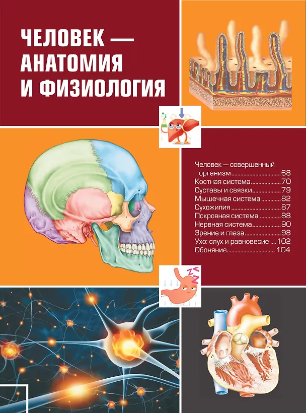Книга Большая детская 4D энциклопедия с дополненной реальностью (Ксения Аниашвили, Дмитрий Кошевар, Любовь Вайткене) — 9