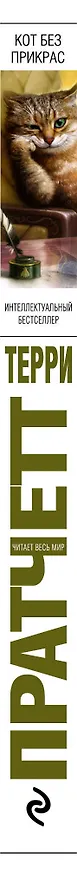 Книга Кот без прикрас (Терри Пратчетт) — 3