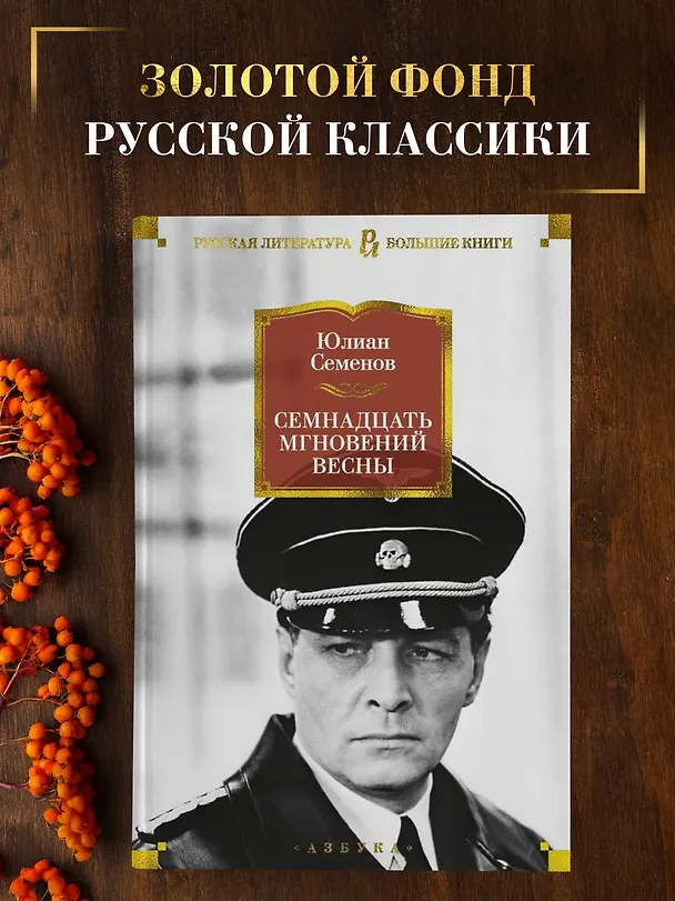 Книга Семнадцать мгновений весны (Юлиан Семёнов) — 4