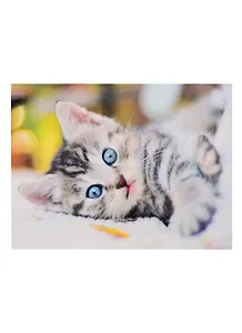 Алмазная мозаика (блест) 30х40см c подр., с полн. заполн. (25цв.) Милый котёнок (Арт. FS009)